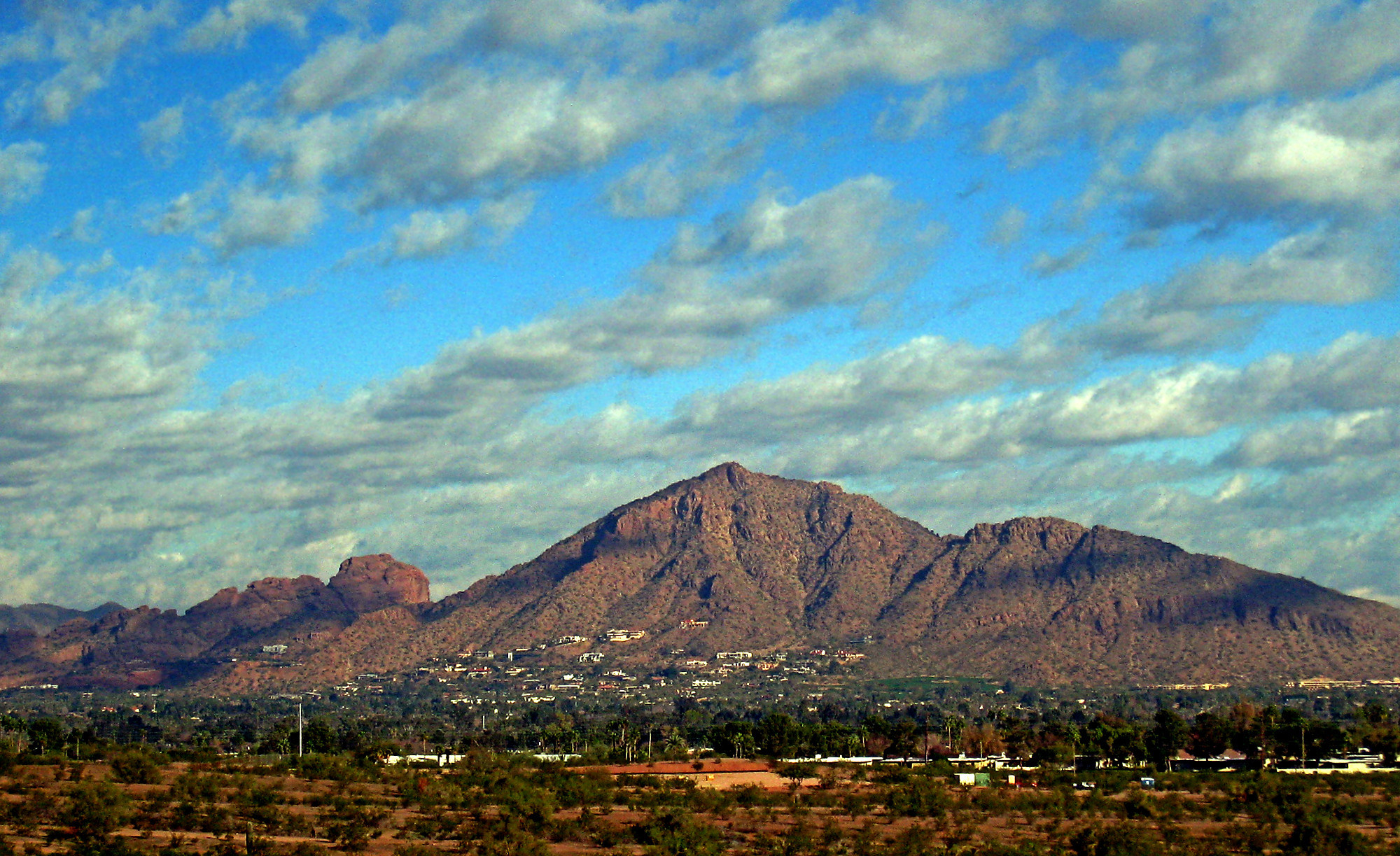 Arcadia Homes For Sale ‹ Hamilton Luxury Group