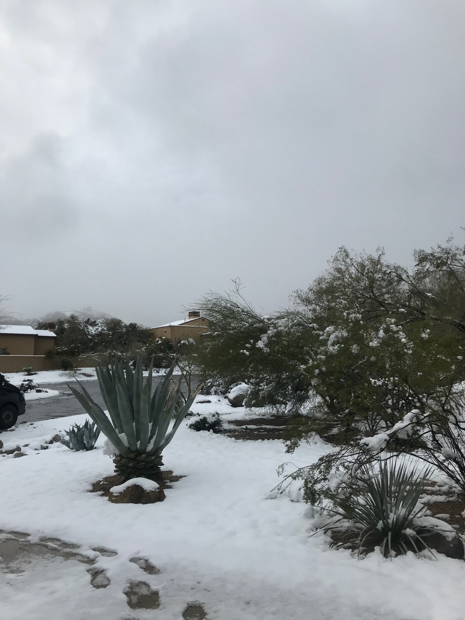 Scottsdale Feb Weather - 1ddln4p